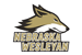 Neb. Wesleyan